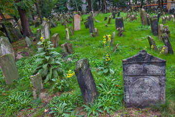 Old Jewish Cemetery, Prague