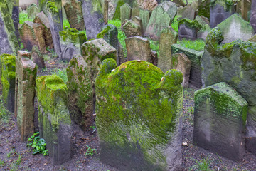 Old Jewish Cemetery, Prague