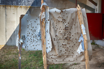 Shooting target full of bullet holes.