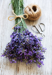 Obraz na płótnie Canvas Bunch of lavender