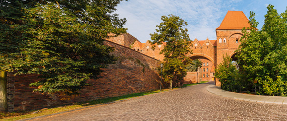 Torun, Medieval Teutonic castle © Rochu_2008