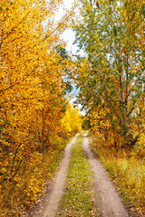 dirt road in the countryside on an autumn day