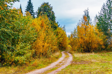 dirt road in the countryside on an autumn day