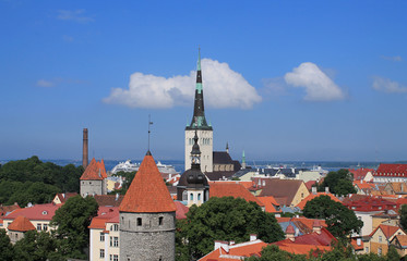 Obraz premium Towers and churches of Old Tallinn. Multi-colored tiled roofs of houses. In the center is the steeple of the Oleviste church.