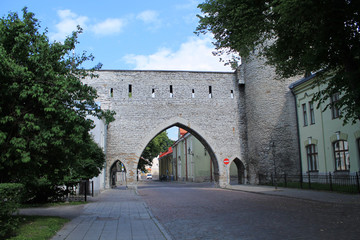 Medieval city gate. Fragment of the old fortress wall.