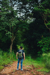 Obraz premium Tourist hiking in the jungle forest concept. Man backpacker hiking alone outdoor active lifestyle travel adventure
