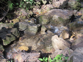Spring water running over rocks in the Ural forest.