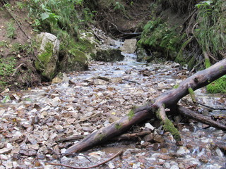 Spring water running over rocks in the Ural forest.