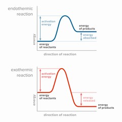Activation energy in endothermic and exothermic reactions.