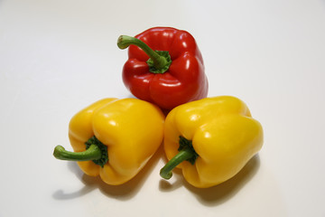 파프리카 paprika