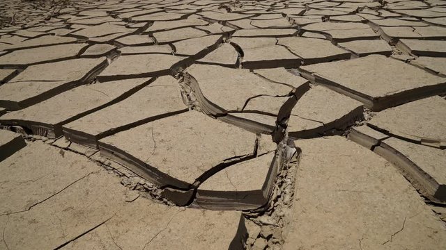 Dried mut in a hot desert in South America