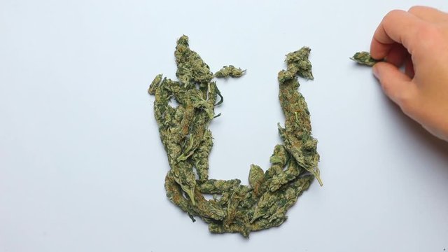 lose-up letter U of the English alphabet made of marijuana