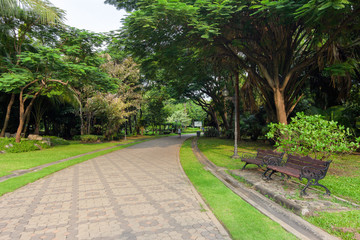 View of exercise route surrounded by green trees