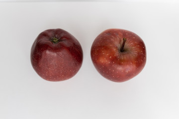 two red apples on a white background