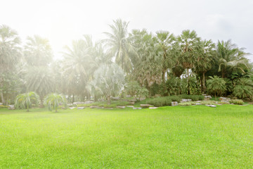 The landscape of the natural garden in the evening is bright.