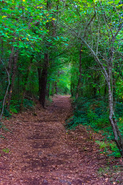 road