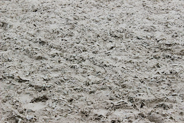 Abstract gray texture background. Special horse padding. Cropped shot of manege for horses.
