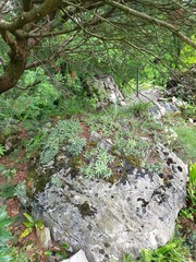 Botanischer Garten Frankfurt 