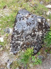 Botanischer Garten Frankfurt 