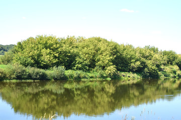 thickets of willow on the banks of a quiet river © dzmitry_2014