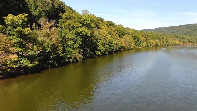 Aerial view of the trees in the riverside of Raystown lake in Pennsylvania.