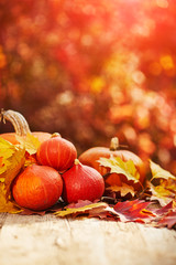 Fototapeta na wymiar autumn decor from pumpkins, berries and leaves on a white wooden background. Concept of Thanksgiving day or Halloween. Flat lay autumn composition with copy space.