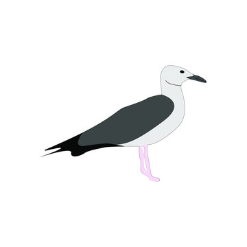 Sea gull. Isolated on a white background. Vector graphics. Flat vector icon. Vector EPS10.