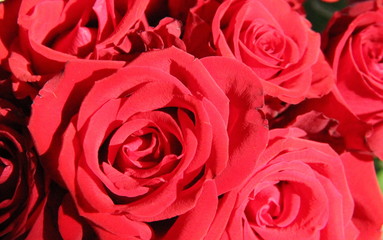 bouquet of roses