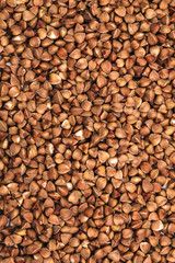 handful of buckwheat. many buckwheat seeds