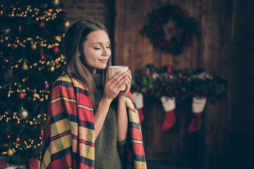 Profile side photo of dreamy positive woman covered checkered blanket feel pleasure on christmas...