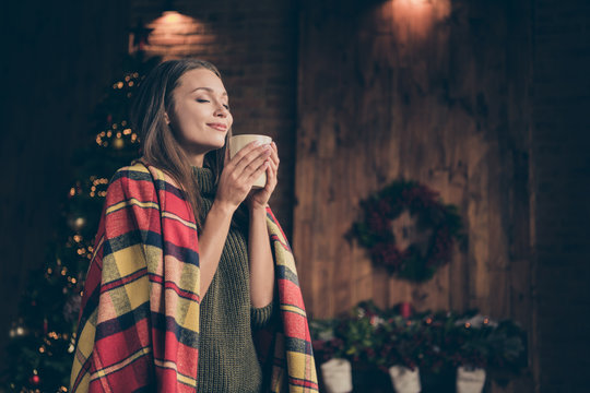 Profile side photo of positive cheerful girl covered checkered blanket hold mug smell aroma of eggnog enjoy rest relax on christmas vacation in house with x-mas lights illuminations decoration indoors