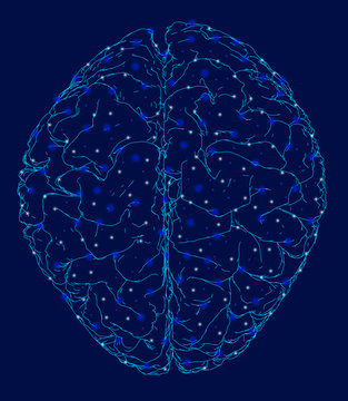 Brain Polygon Bilder – Durchsuchen 10,355 Archivfotos, Vektorgrafiken ...