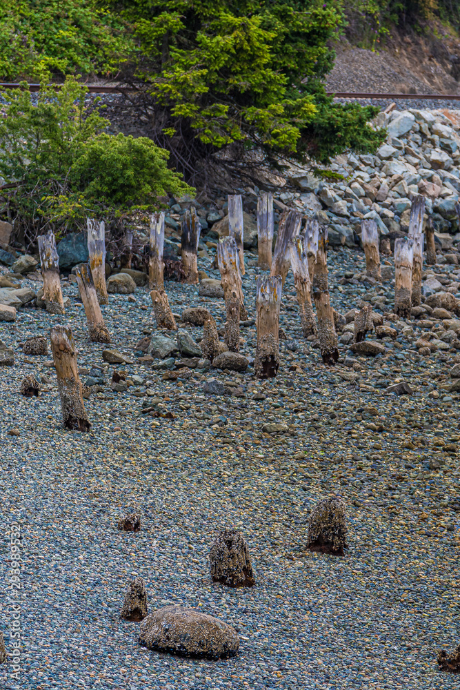 Canvas Prints Stakes in Beach