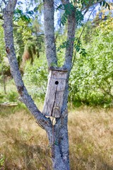 Wooden homemade birdhouse by me