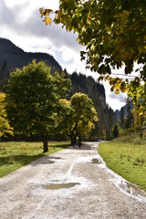 Dolina Koscieliska Tatry jesiennie TPN