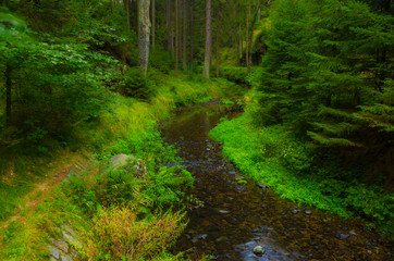 Valley Kyjov (Kyjovské údolí) - Bohemian Switzerland National Park