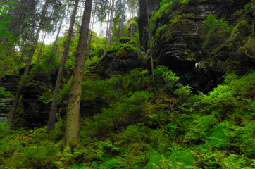 Valley Kyjov (Kyjovské údolí) - Bohemian Switzerland National Park