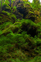 Valley Kyjov (Kyjovské údolí) - Bohemian Switzerland National Park
