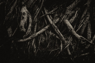 Many dark roots with grain film, Dark horror halloween themes.