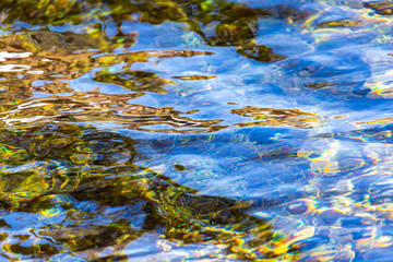 Fototapeta na wymiar The surface of clear water in a pond