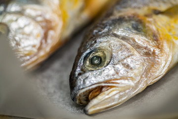 small yellow croaker [Larimichthys polyactis]