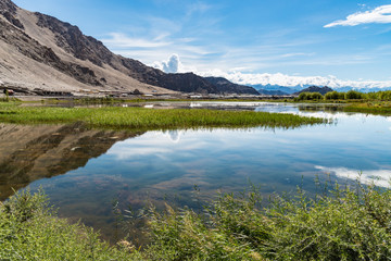 Transparent water and green plants that float on the surface of the water with mountain and blue sky background.