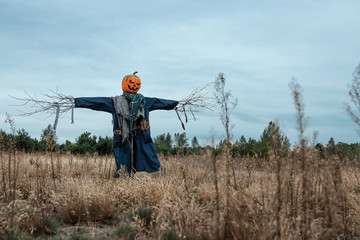 Naklejka na ściany i meble A scary scarecrow with a halloween pumpkin head in a field in cloudy weather. Halloween background, copy space.