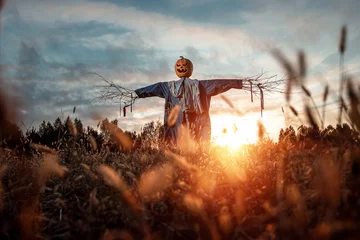 Foto op Canvas Scary scarecrow with a halloween pumpkin head in a field at sunset. Halloween background, copy space. © Aliaksandr Marko