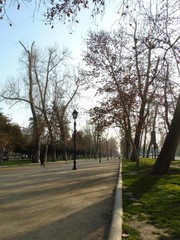 Forest Park of the city of Santiago de Chile, in autumn