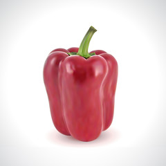 Realistic Illustration of a Red Pepper
