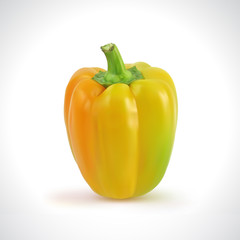 Realistic Illustration of a Yellow Pepper