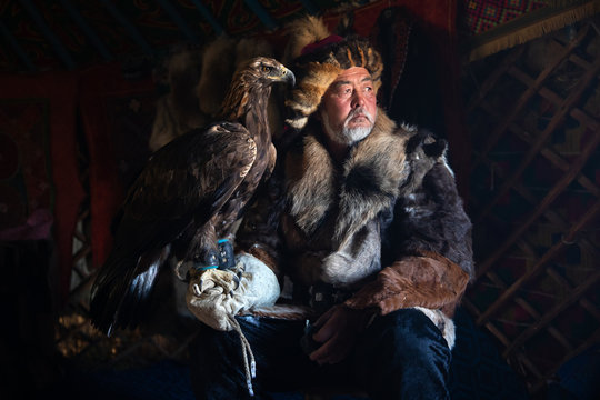 Portrait of an old kazakh eagle hunter with his majestic golden eagle indoors in dark traditional kazakh ger. Ulgii, Western Mongolia.