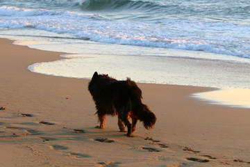 footprints in the sand on the shores of the Mediterranean Sea in the north of Israel