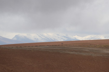 Landscape of mountains in the high lands of Chile near the border with Bolivia. Snow-covered landscapes of the Andes and the desert